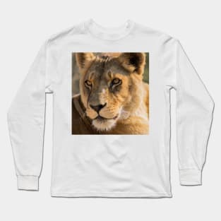 530 lioness Long Sleeve T-Shirt